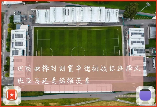 攻防抉择时刻霍华德挑战你选择文班亚马还是诺维茨基